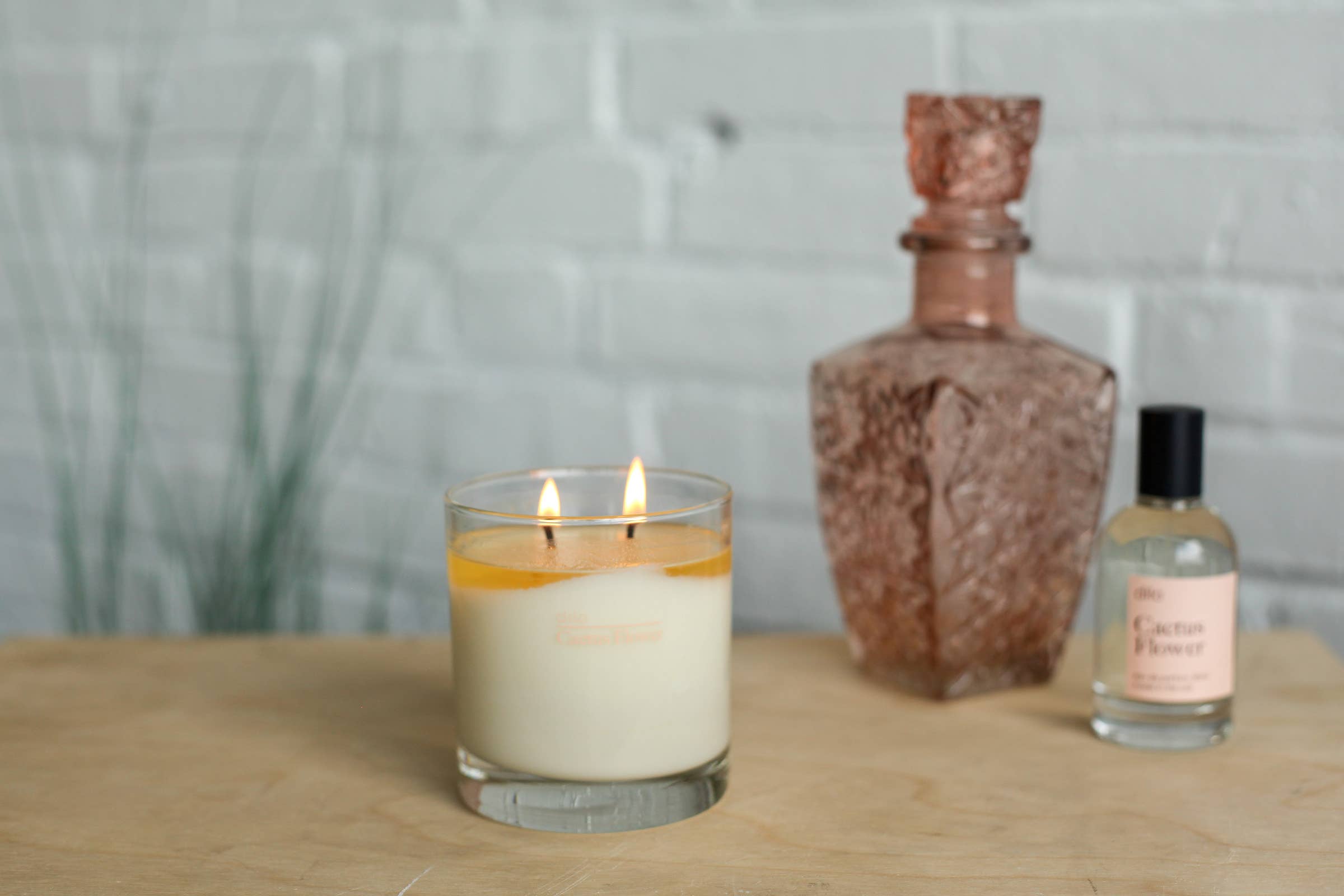 dilo- CACTUS FLOWER CANDLE