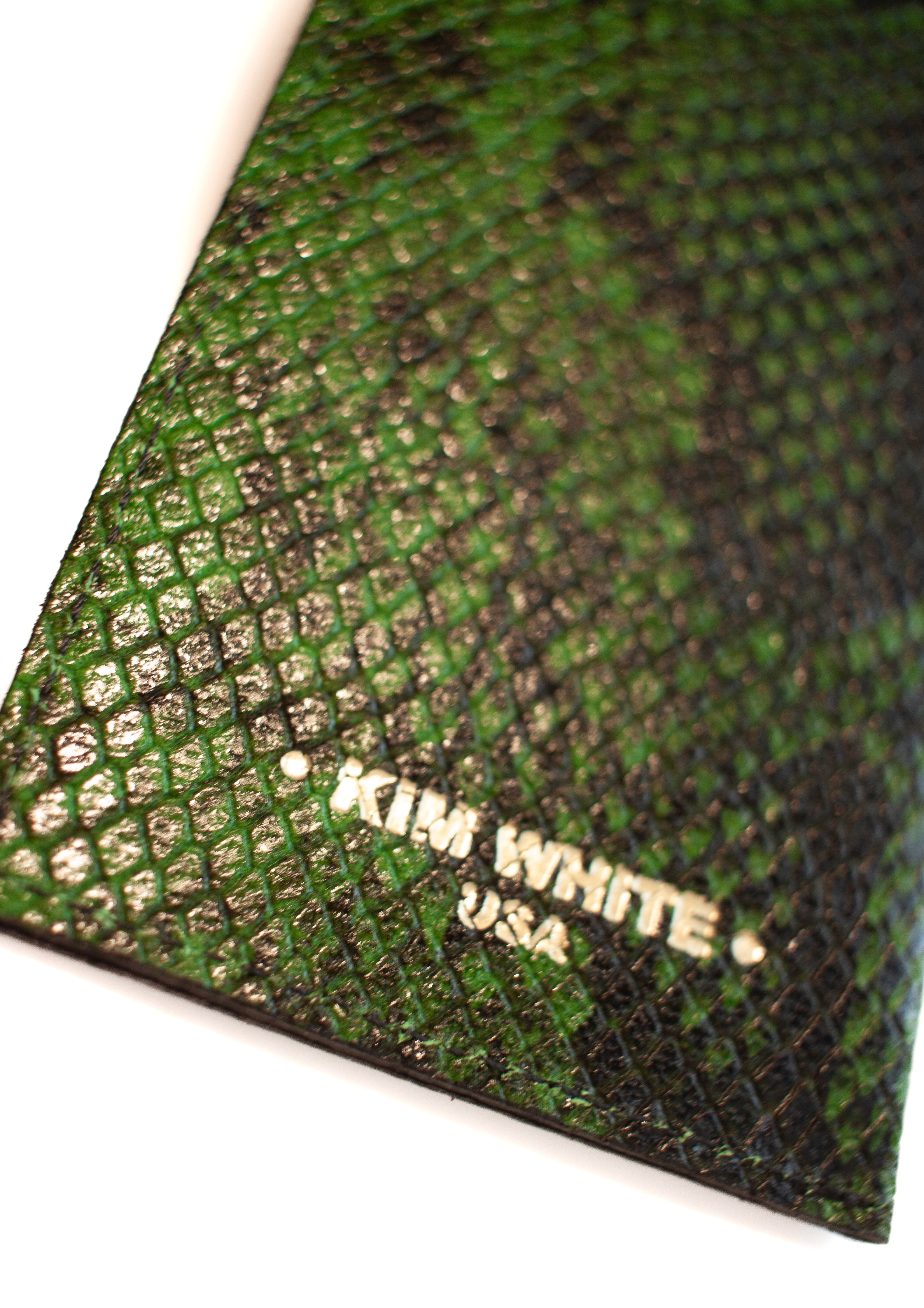 Kim White - Glasses Case - Snake